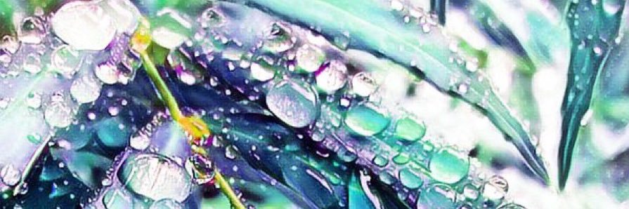 D_ptkat's profile banner image