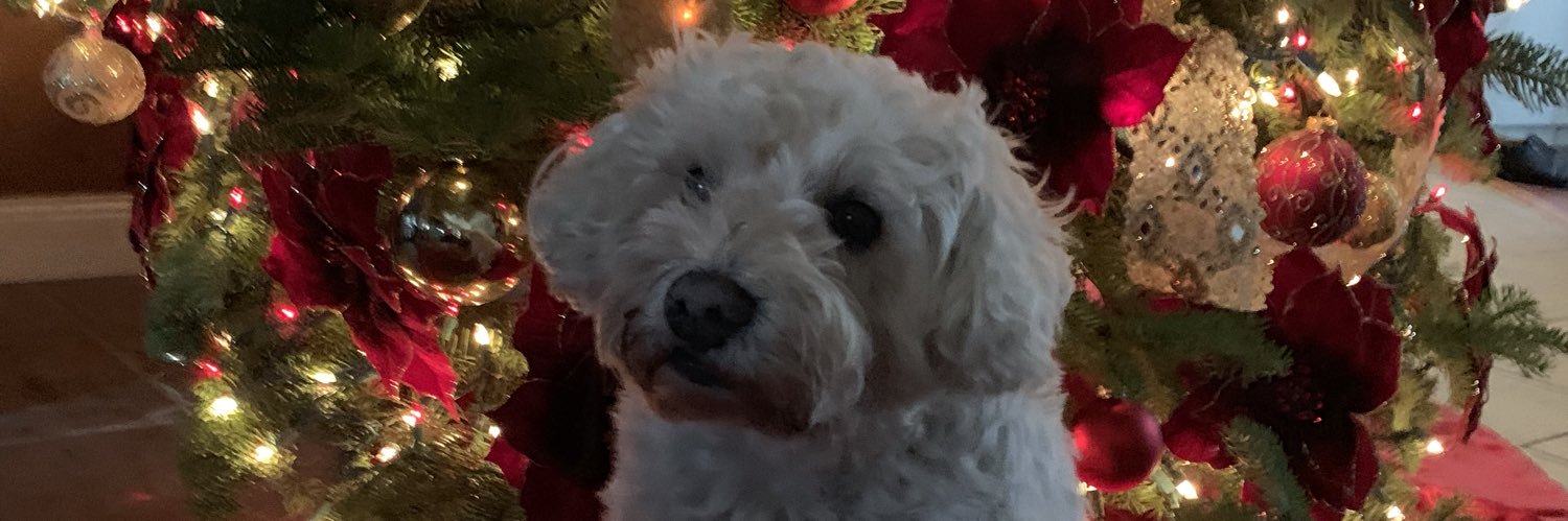 brettdivotx's profile banner image
