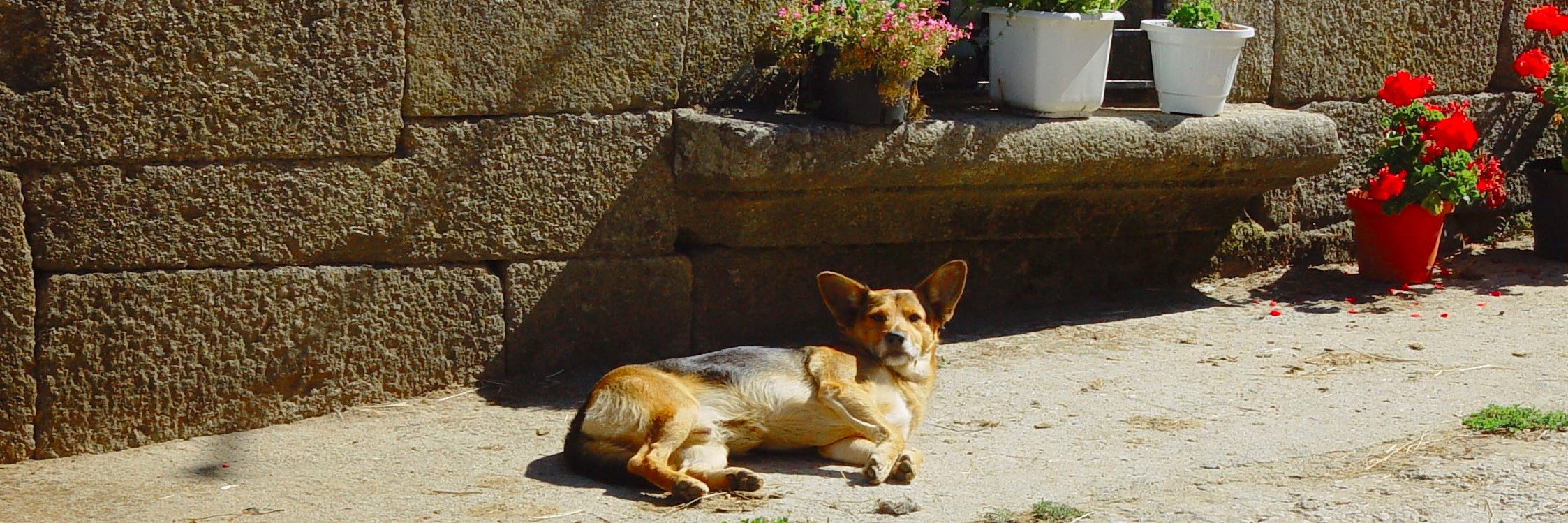 ManoloDomnguez3's profile banner image