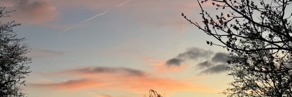 x_esk_x Profile Banner
