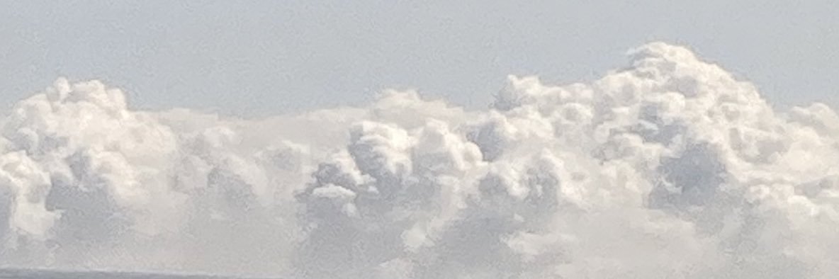 ざい banner