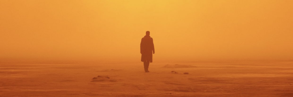 CorleyRyan's profile banner image