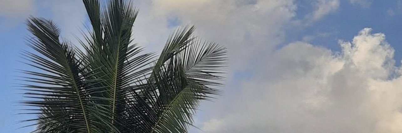 domdeshae's profile banner image