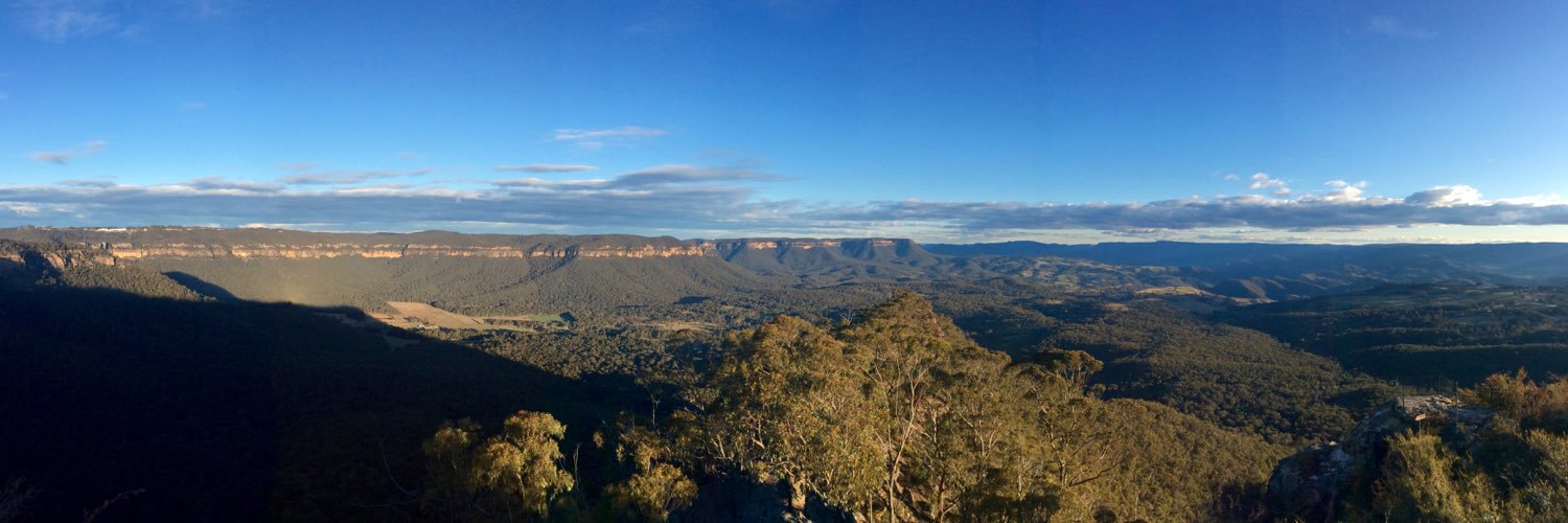 Tamara Potter banner