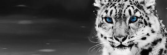 Manish Jinara banner