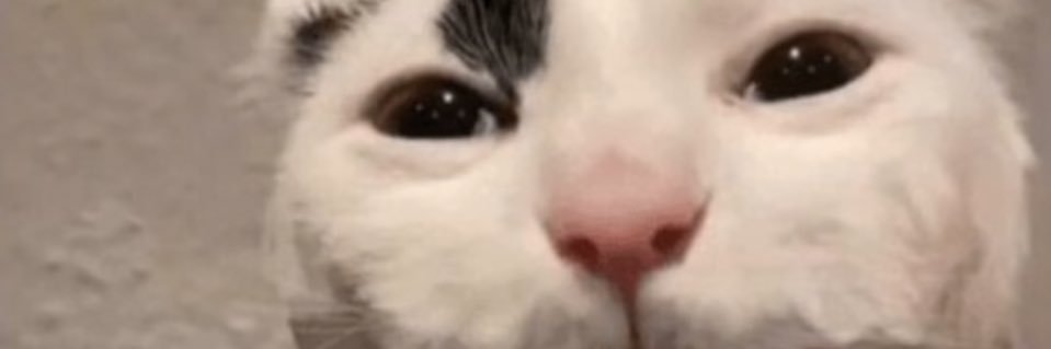 pdotdakidd's profile banner image