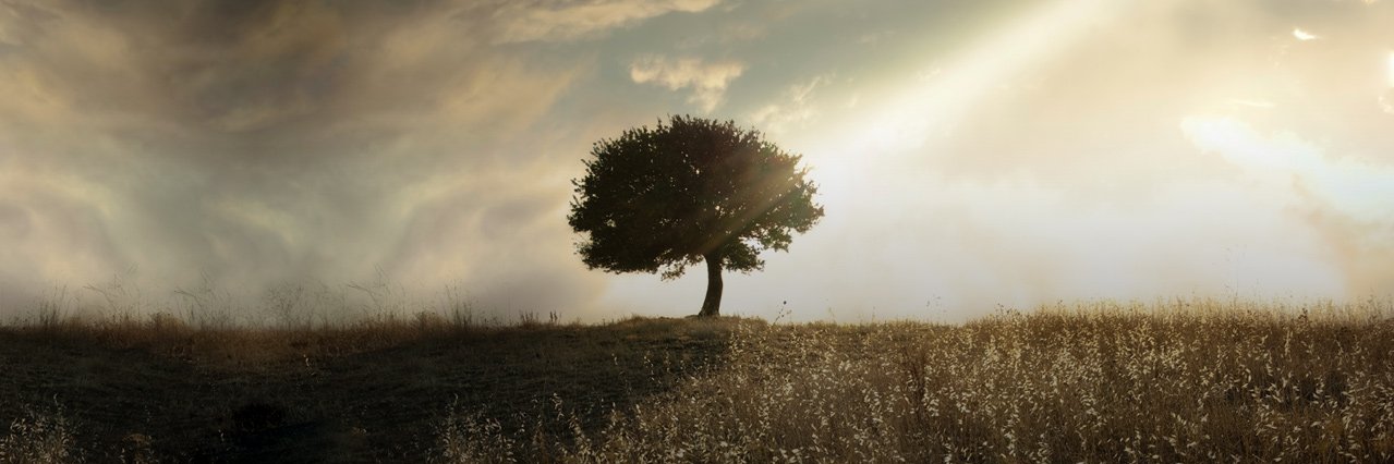 Instec_corp's profile banner image