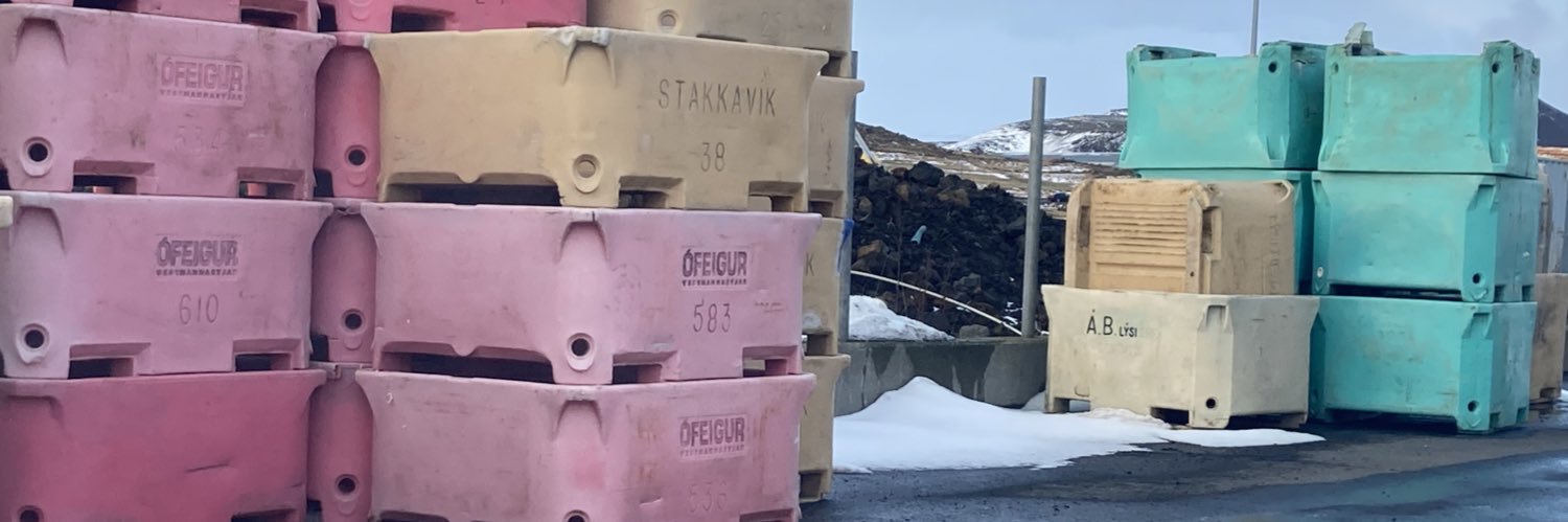 Fríða Rós banner