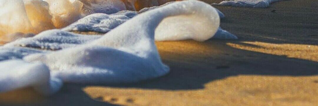 Gtapioles's profile banner image