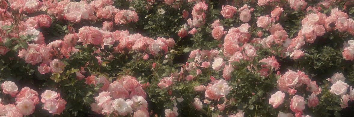 _k520y's profile banner image
