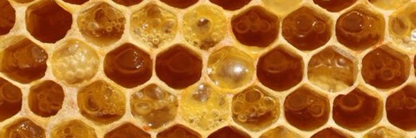 coldasthenight Profile Banner