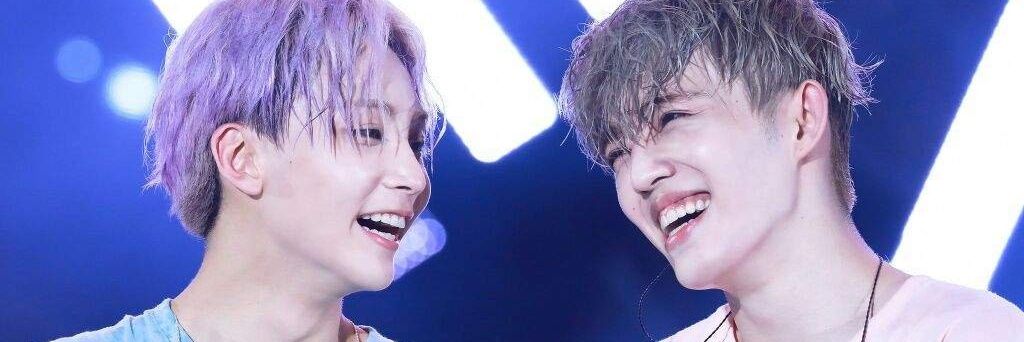 hannie banner
