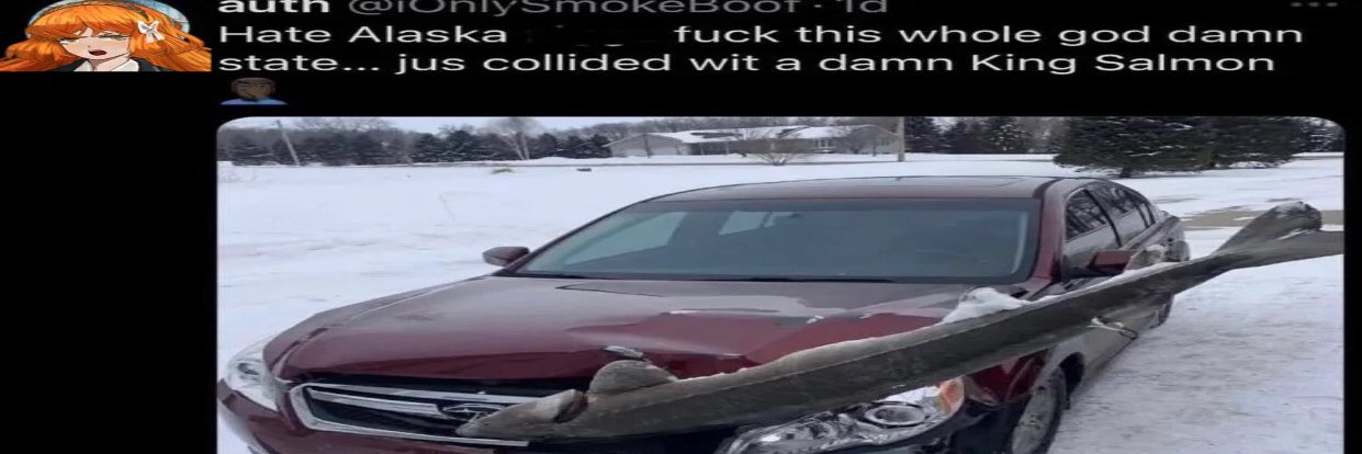 Squishyup's profile banner image