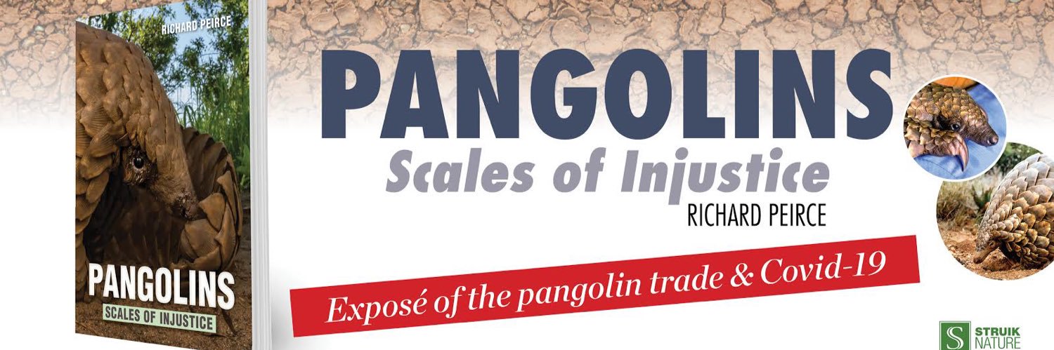 rpaconsult's profile banner image