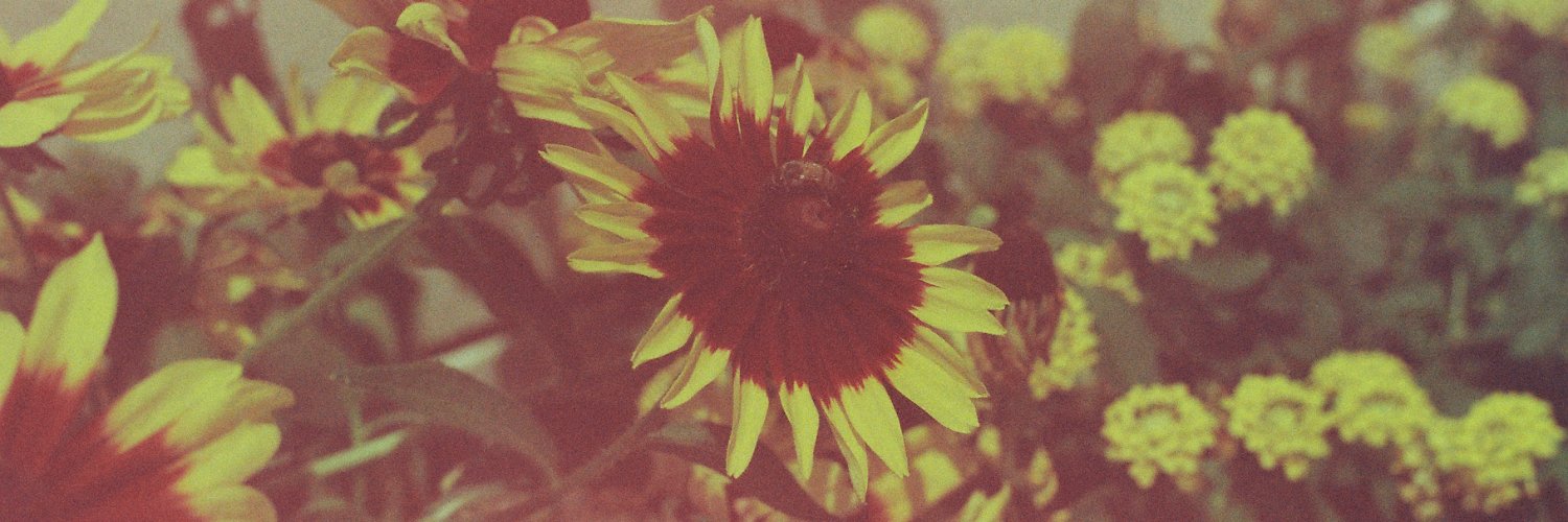 nikrdc's profile banner image