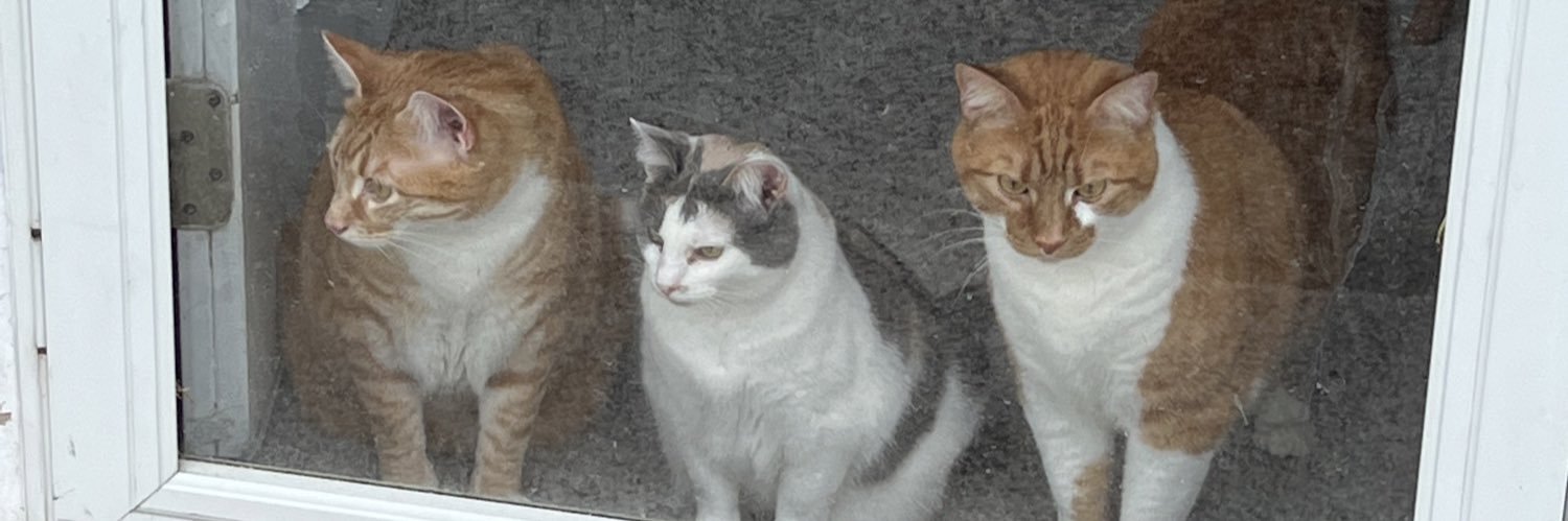 Mary Powers #GOVOLS 🧡🧡🇺🇸 banner