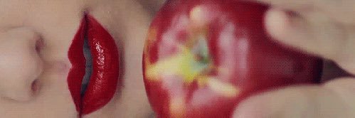 reptrxx's profile banner image