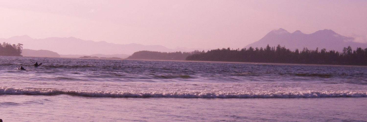 RyeGrass's profile banner image