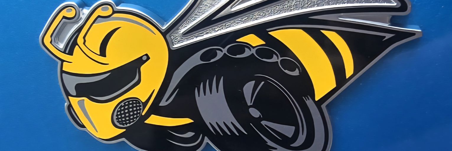 IrishEly71's profile banner image