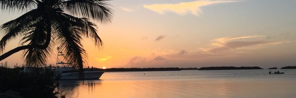 webcms Profile Banner