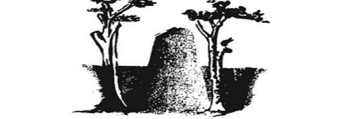 scottkupa's profile banner image