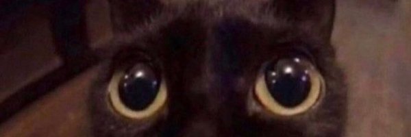 rotpilled_ Profile Banner