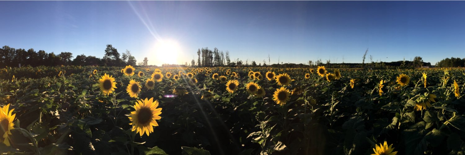 LindsFull3's profile banner image