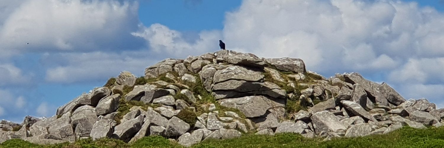 UKRavensFan's profile banner image