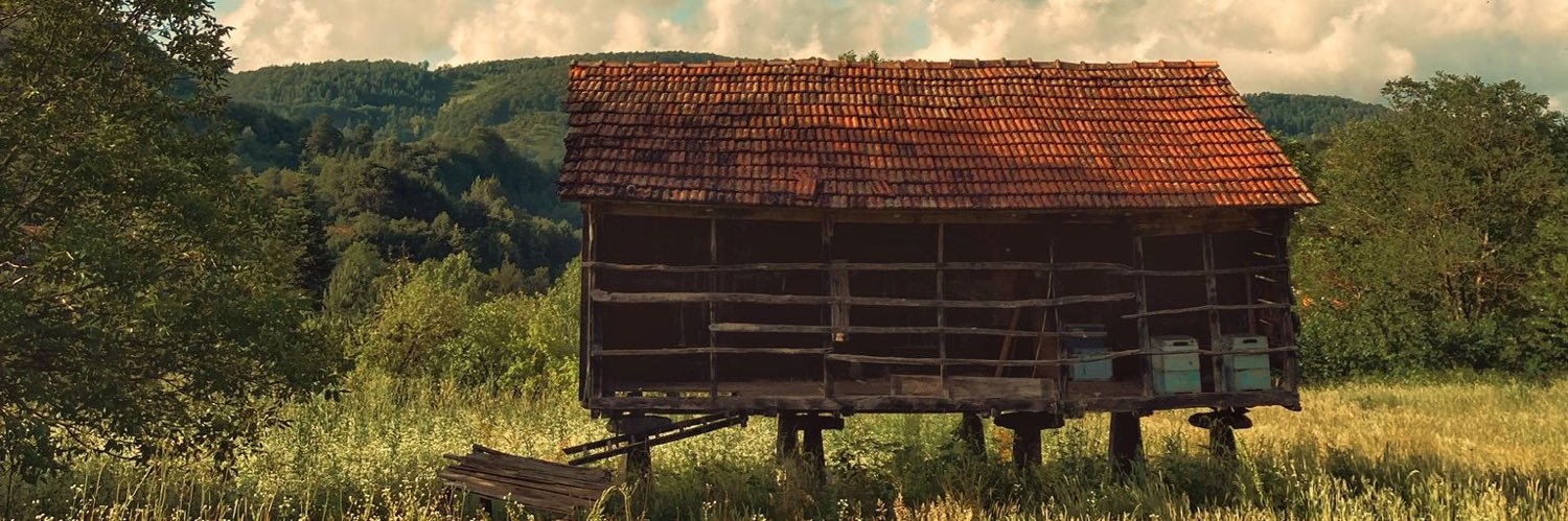 steigtaen's profile banner image