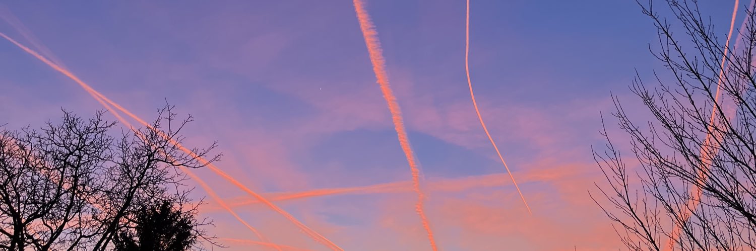 berlinernaked banner