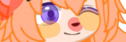 Willow..Foxes banner