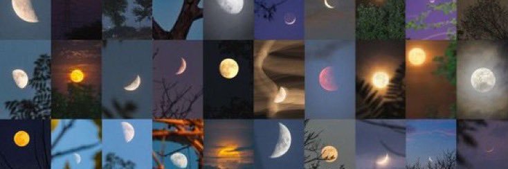 elle_ve_'s profile banner image