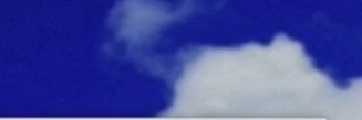 keibetsuu banner
