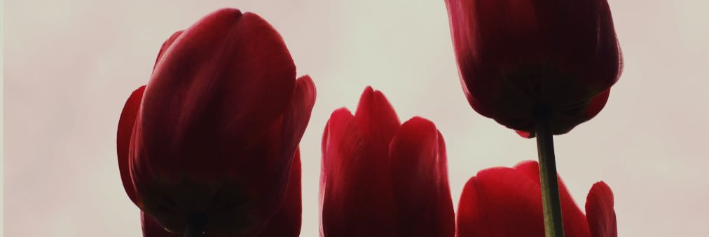 Jennifer_Gish's profile banner image