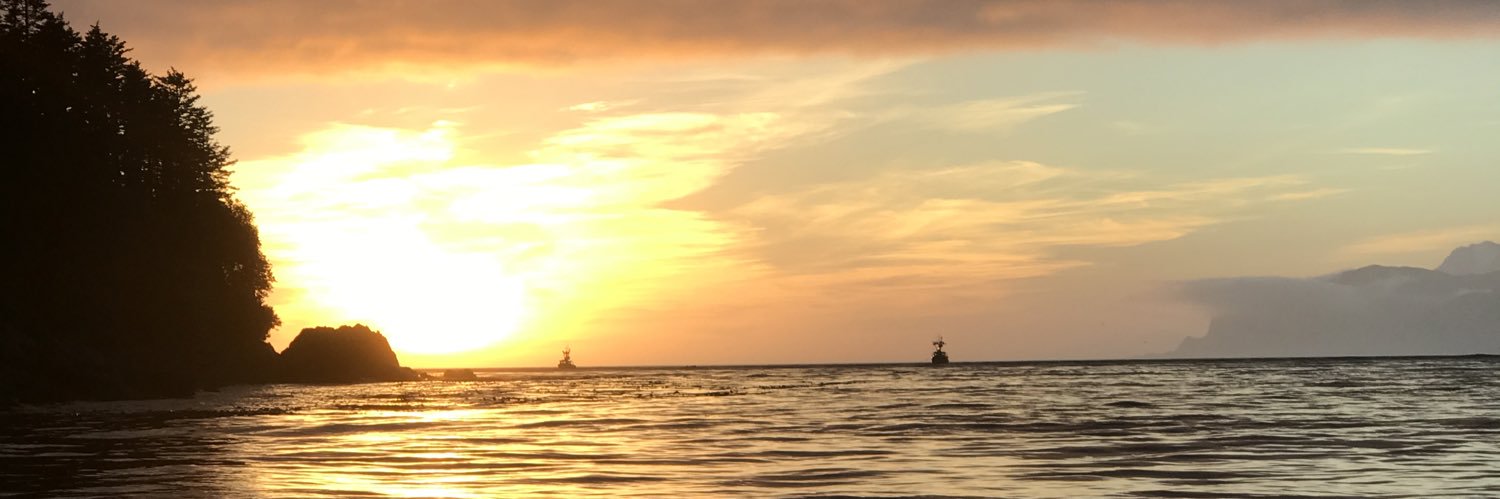 tthain5's profile banner image