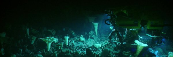 nepdep_ Profile Banner