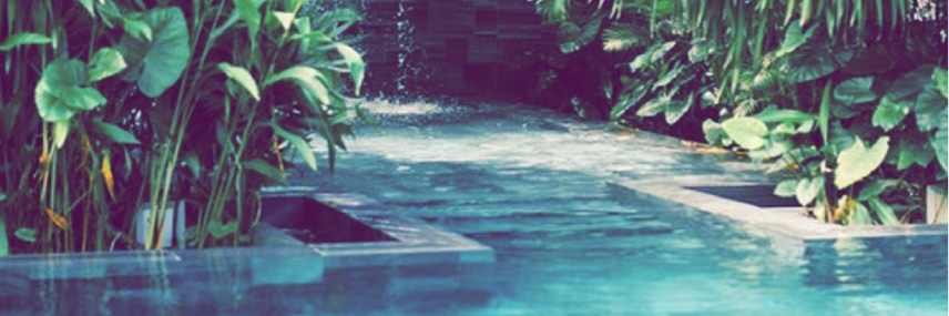 Giada_9 banner