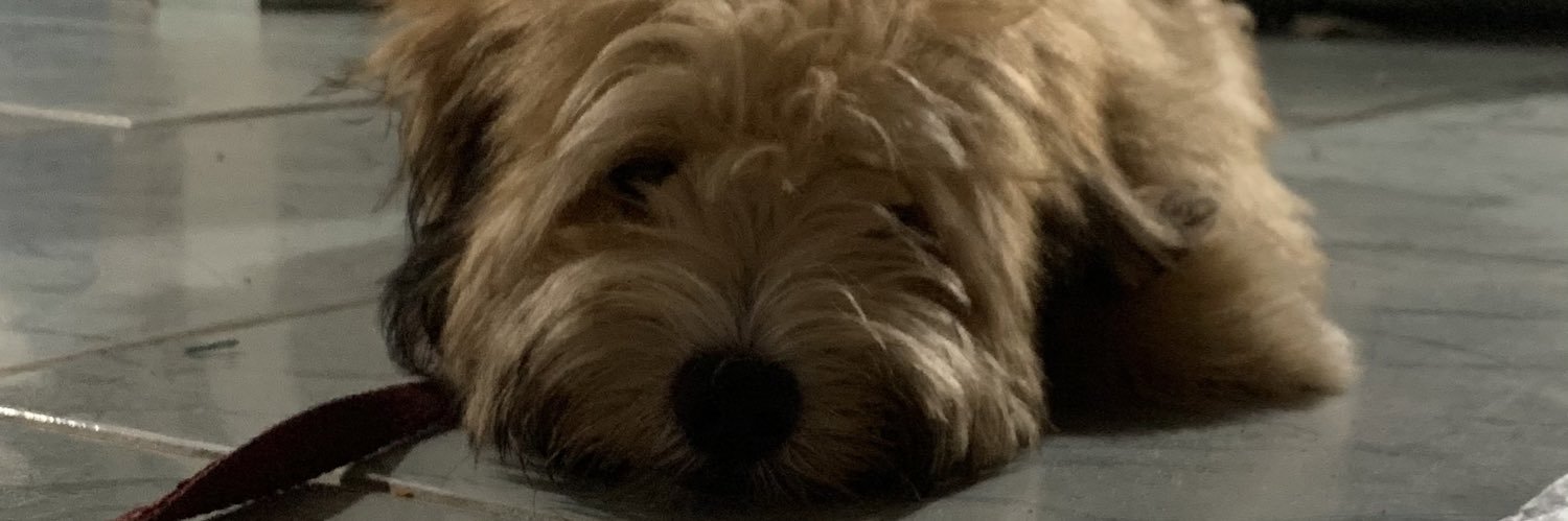 meu alterego banner
