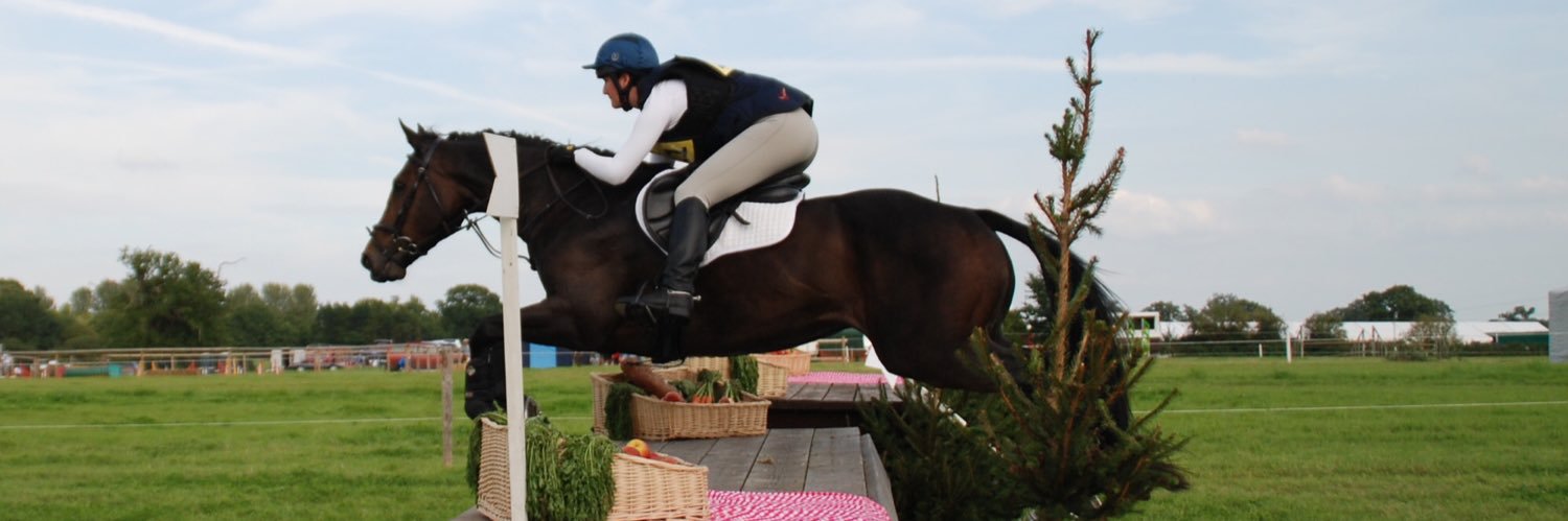 WellingtonHT banner