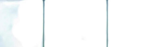 DennyBurk Profile Banner