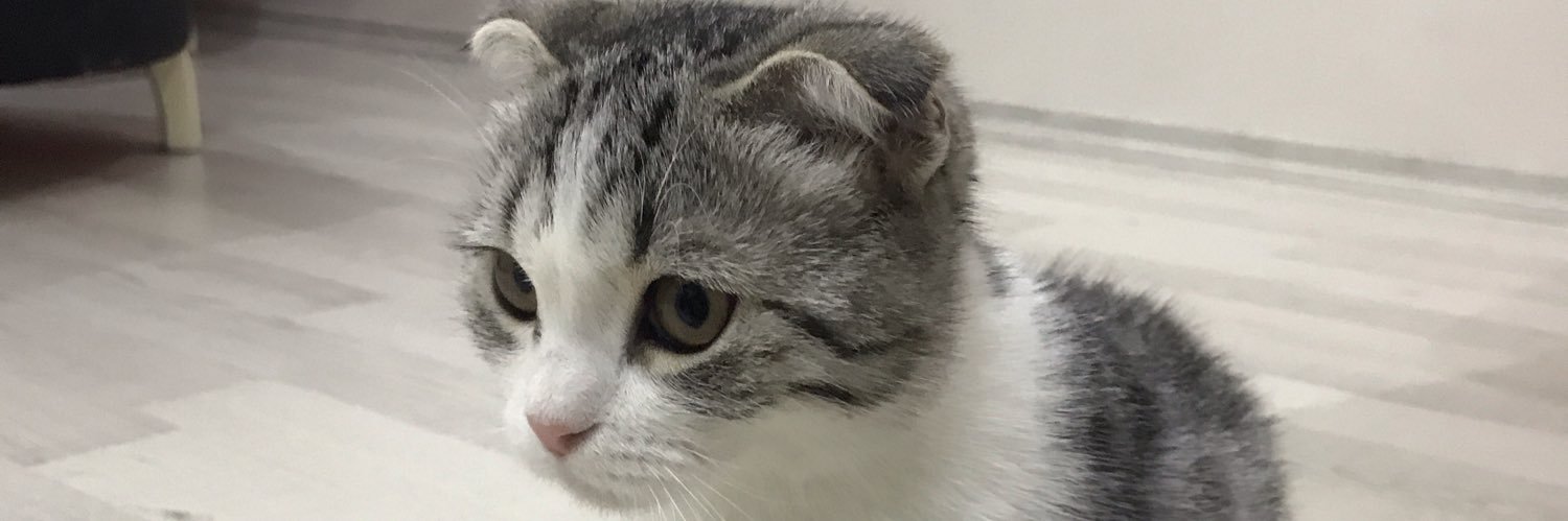 Emnonl's profile banner image