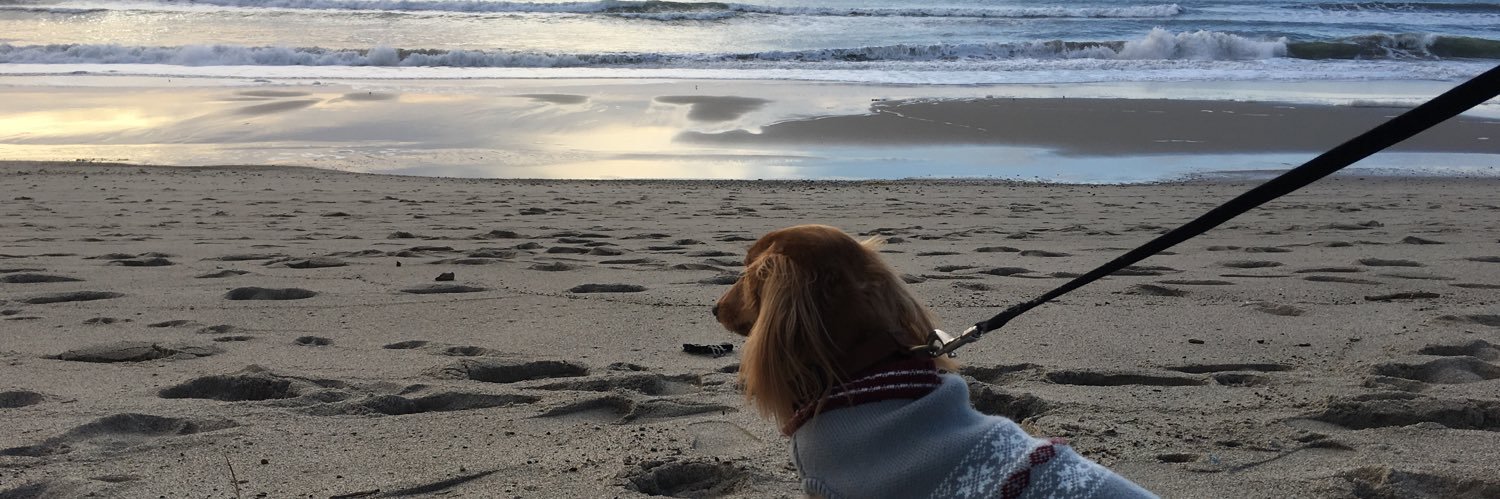TreShery's profile banner image
