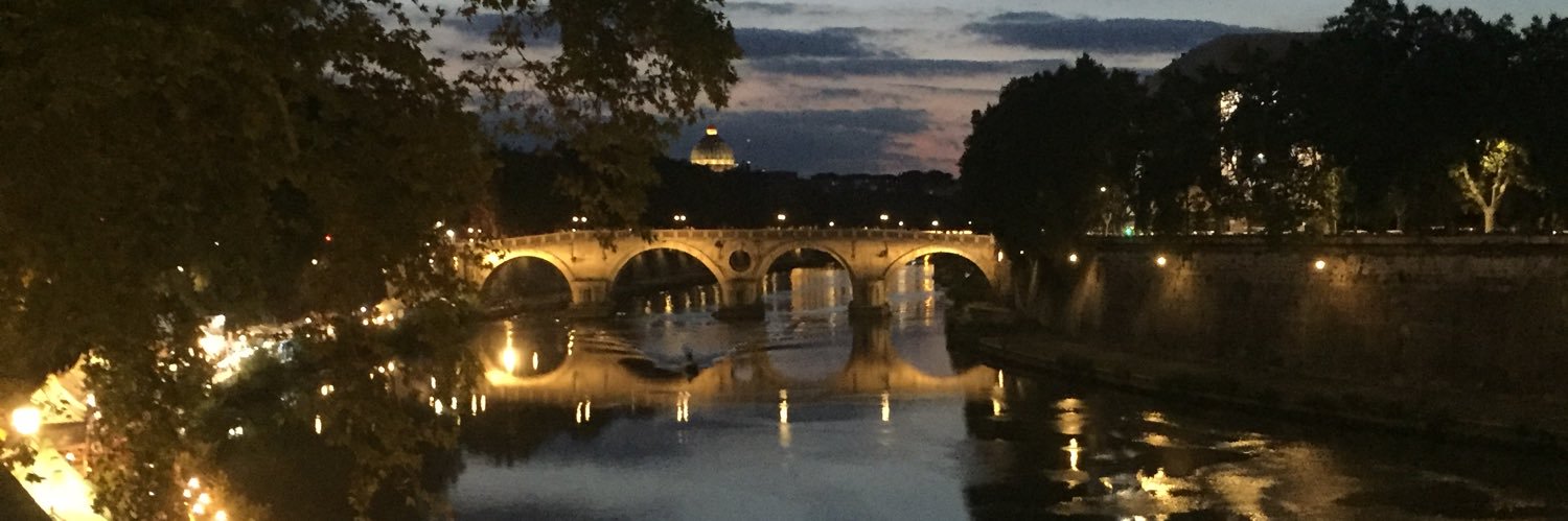 daniela storari banner