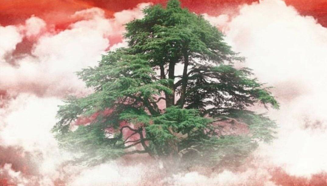 LRichani's profile banner image