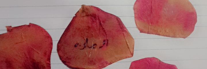 Arman banner