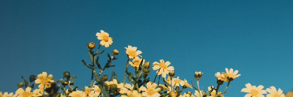 VikaFreundin's profile banner image
