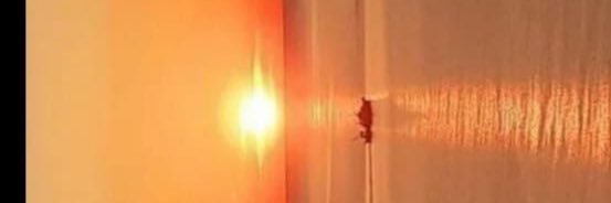 Gaucio banner