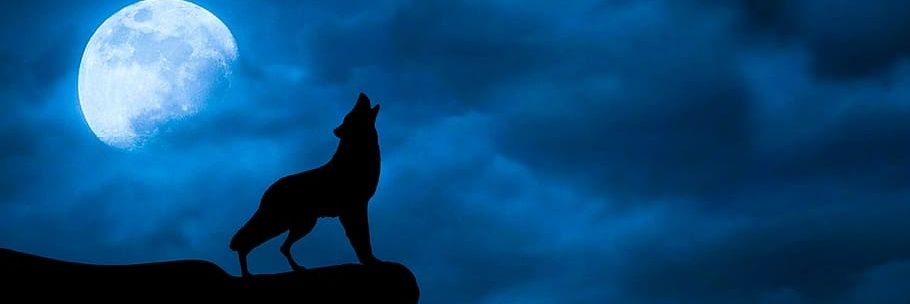 poetic_rule's profile banner image