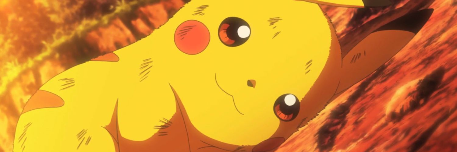 응가고양이똥참치설사 banner