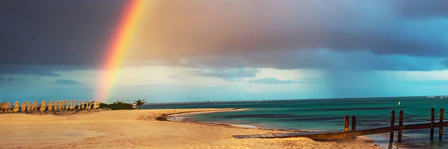 lilu_26's profile banner image